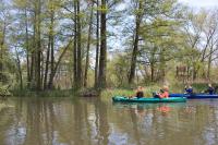 Paddeln, Spreewald, Familie
