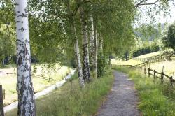Bahnwanderweg bei Lohsdorf Bahndamm Schwarzbachbahn Sächsische Schweiz Schmalspurbahn