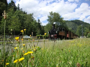 Einfahrt Dampflok IV K in Oybin - Zittauer Schmalspurbahn
