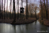 Burg-Lübbener-Kanal nahe der Wotschofska Spreewald Winter mystisch
