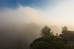 Nebel Wehlgrund