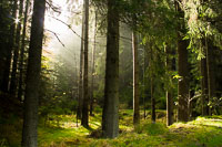 Böhmischer Wald, Khaatal