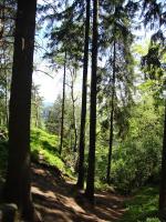Einstieg Wilde Hölle - SÄCHSISCHE SCHWEIZ