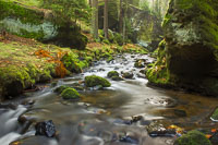 Kirnitzsch, Khaatal, Kirnitzschtal