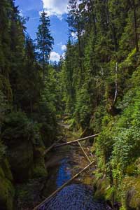 Kirnitzschtal Kirnitzschklamm Obere Schleuse