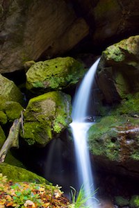 wilder Grünbach im Amselgrund, Wasserfall